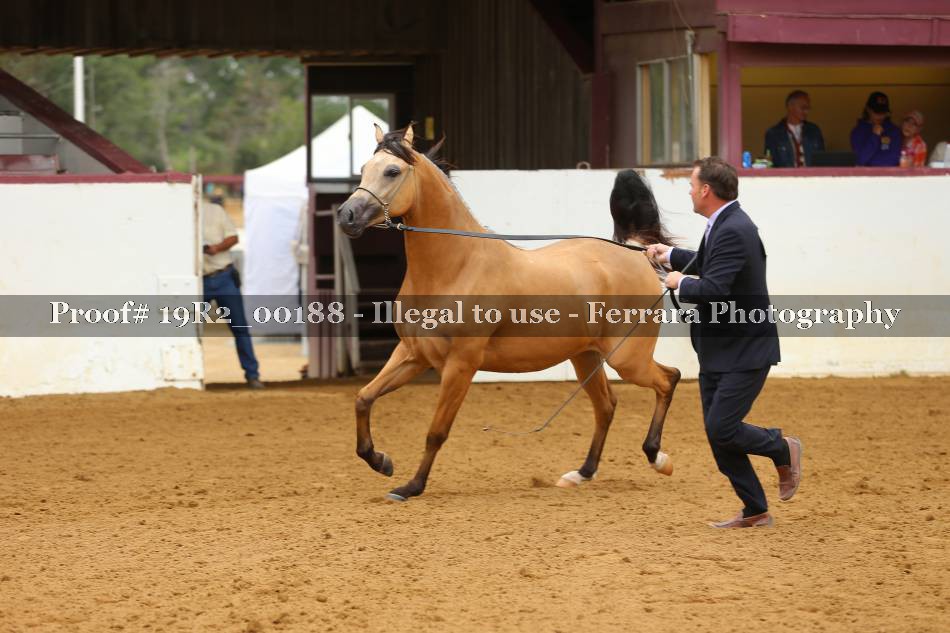 Proof 19R2_00188