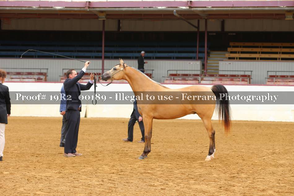Proof 19R2_00189