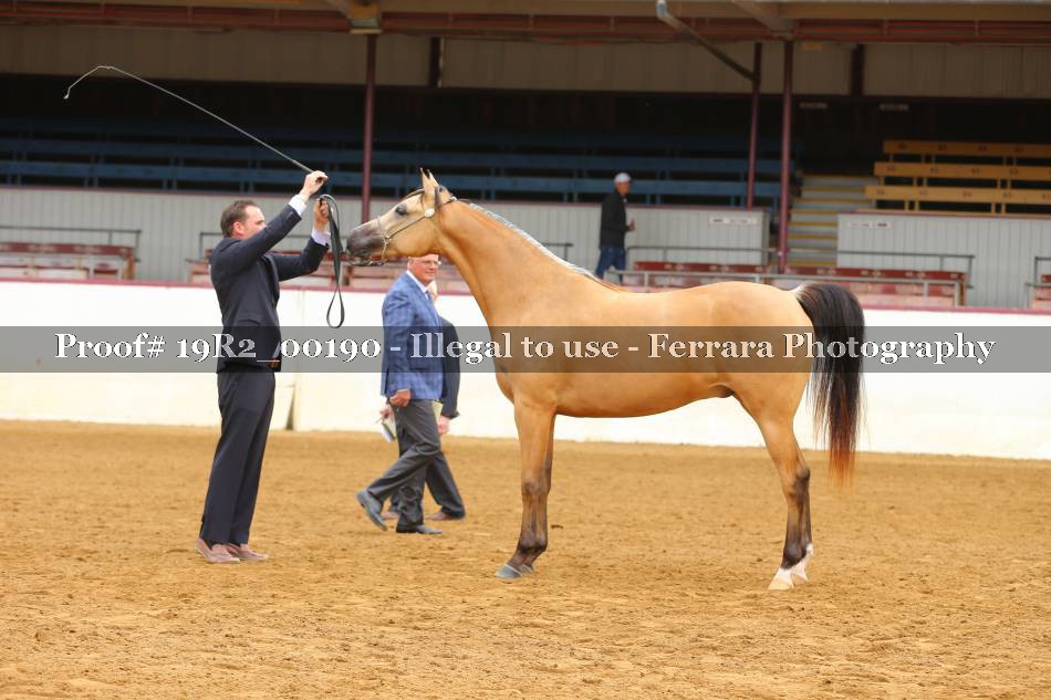 Proof 19R2_00190