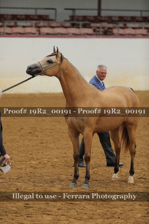 Proof 19R2_00191