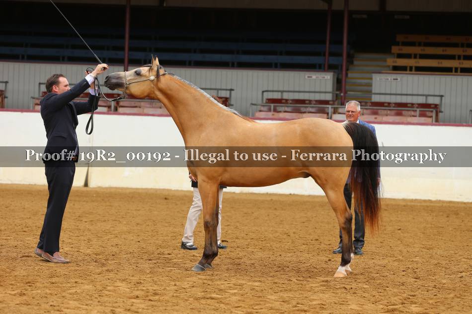 Proof 19R2_00192