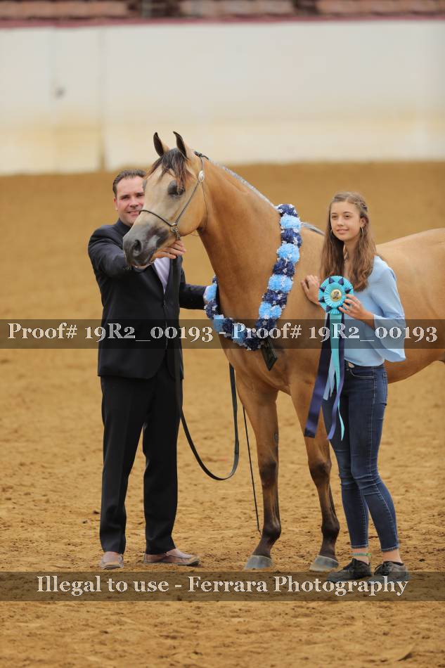 Proof 19R2_00193