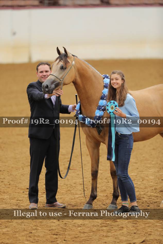 Proof 19R2_00194