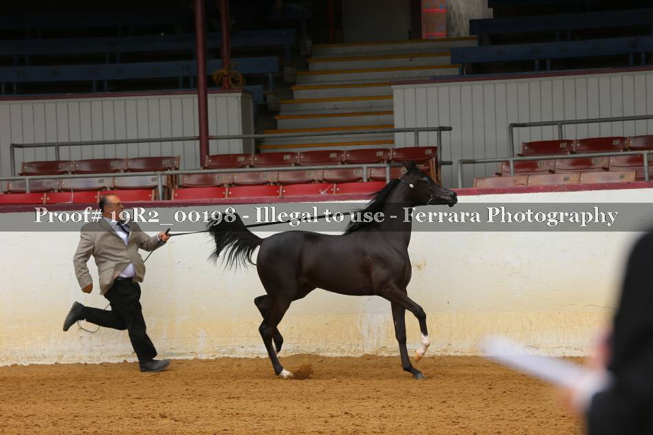 Proof 19R2_00198