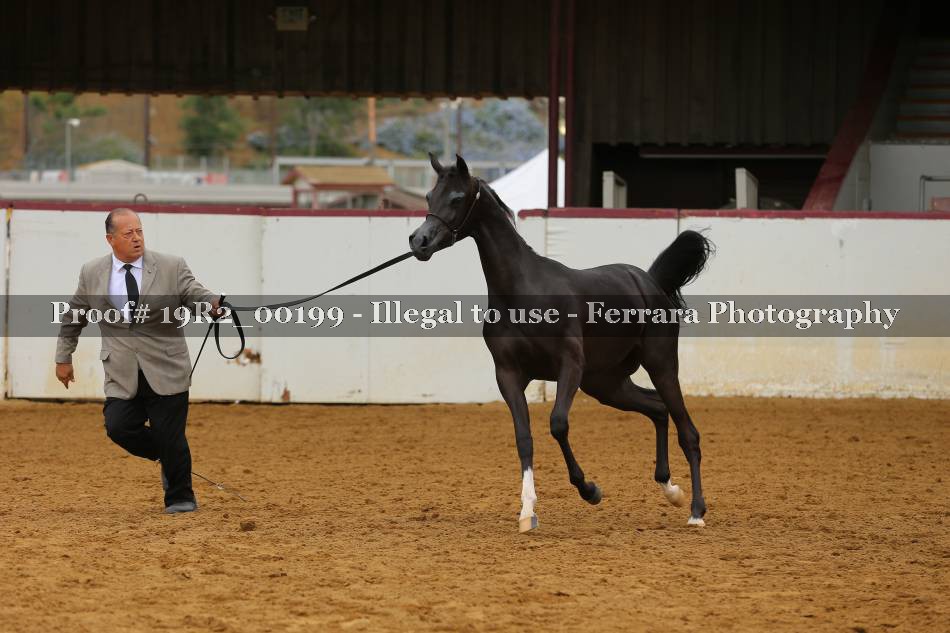 Proof 19R2_00199