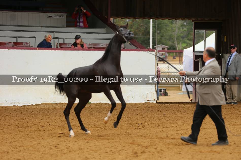 Proof 19R2_00200