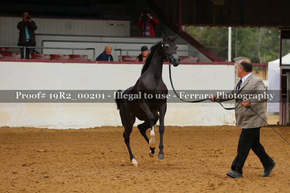 Proof 19R2_00201