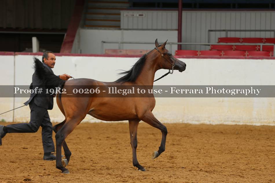 Proof 19R2_00206