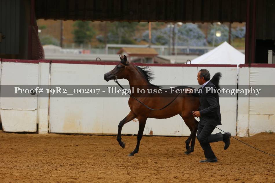 Proof 19R2_00207