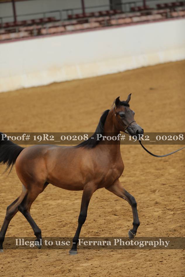 Proof 19R2_00208