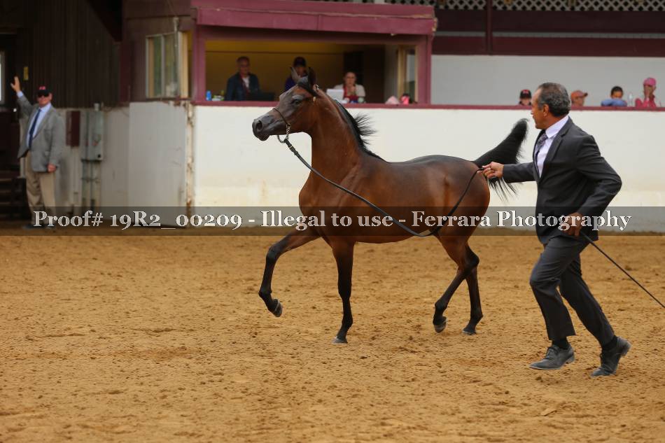 Proof 19R2_00209