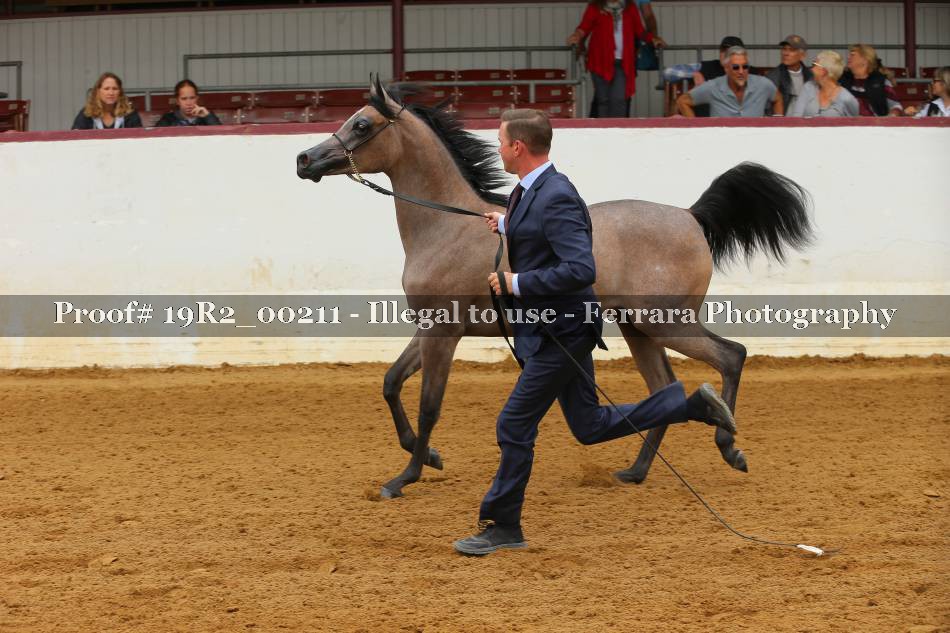 Proof 19R2_00211