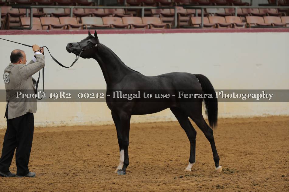 Proof 19R2_00212