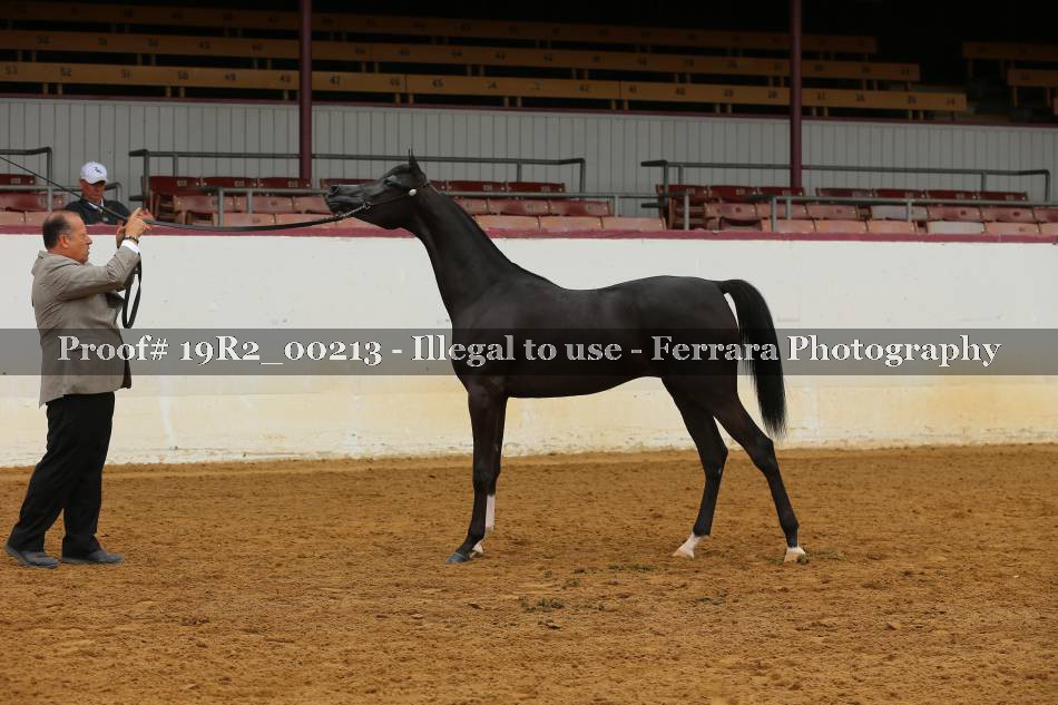 Proof 19R2_00213