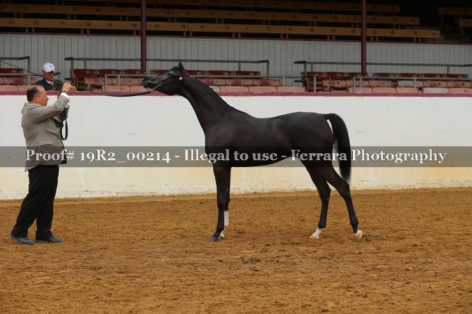 Proof 19R2_00214