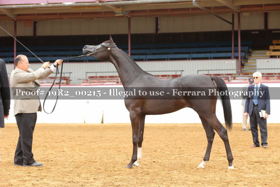 Proof 19R2_00215