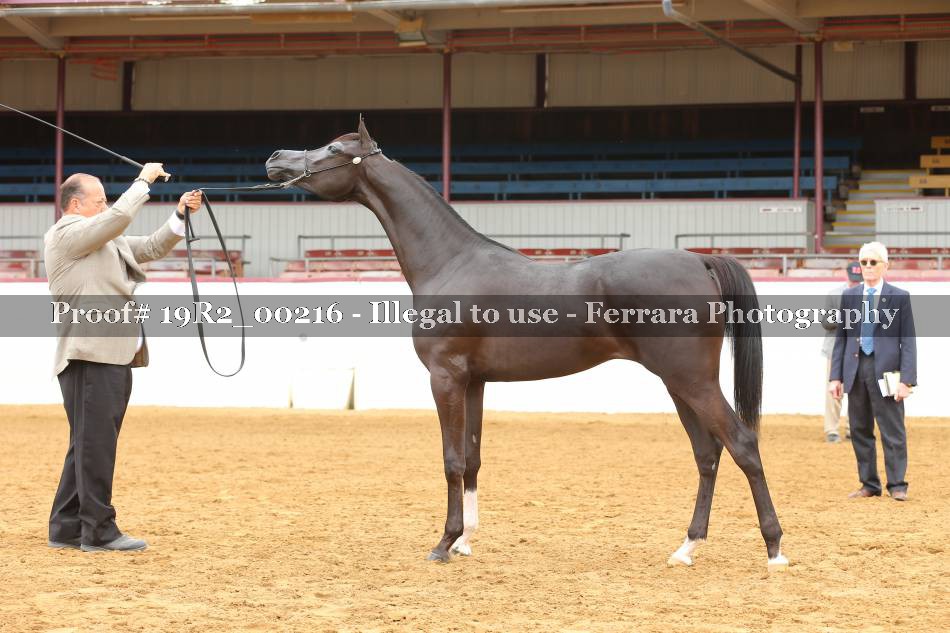 Proof 19R2_00216
