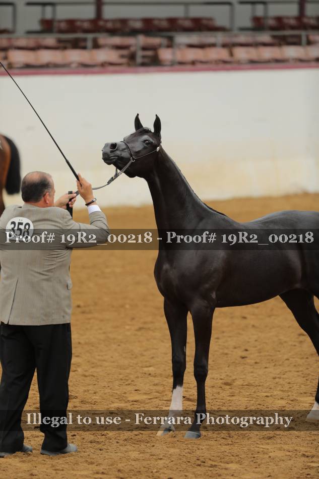 Proof 19R2_00218