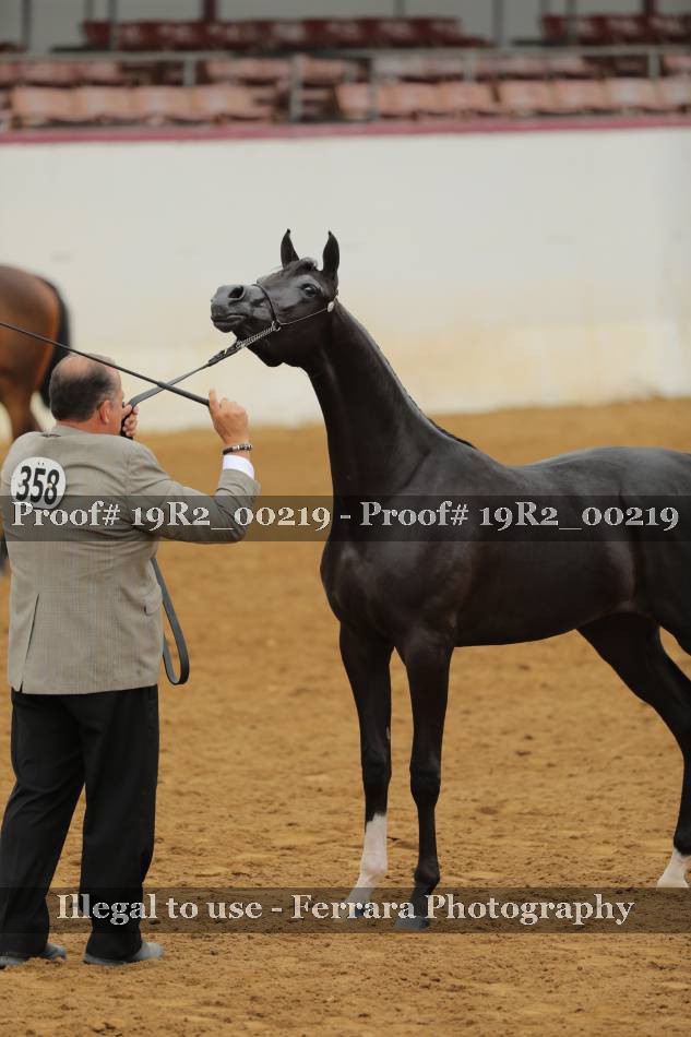 Proof 19R2_00219
