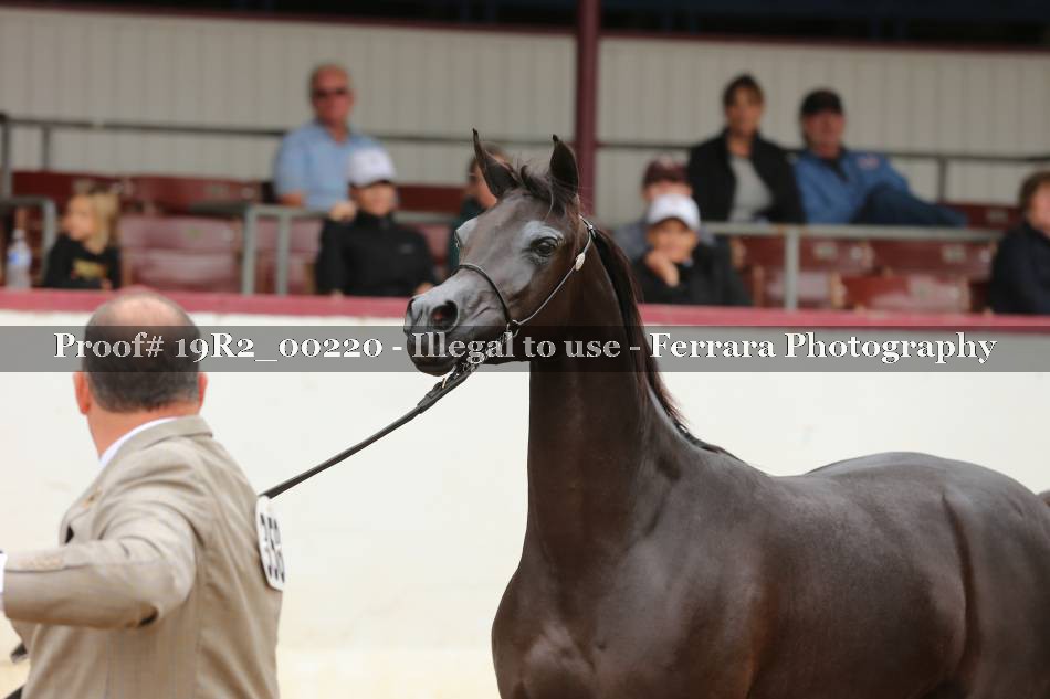 Proof 19R2_00220