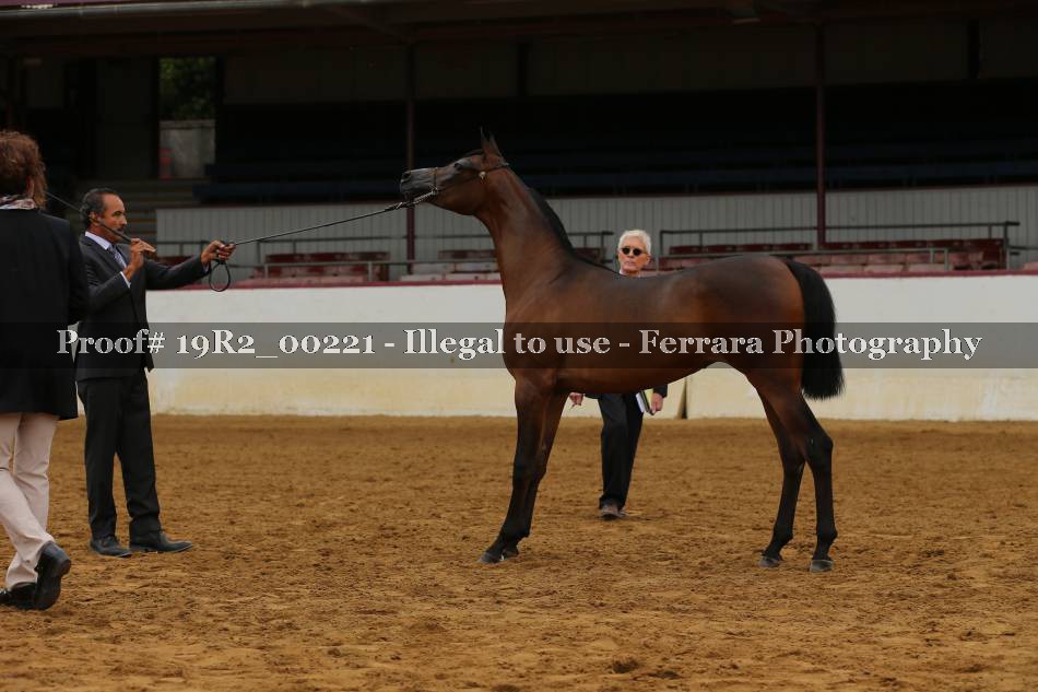 Proof 19R2_00221