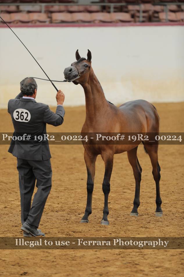 Proof 19R2_00224