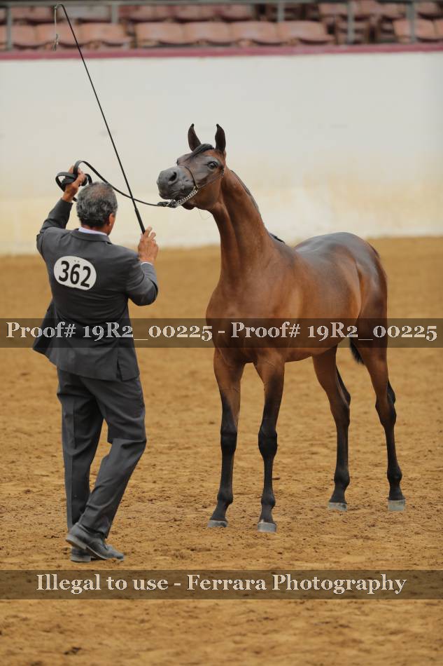 Proof 19R2_00225