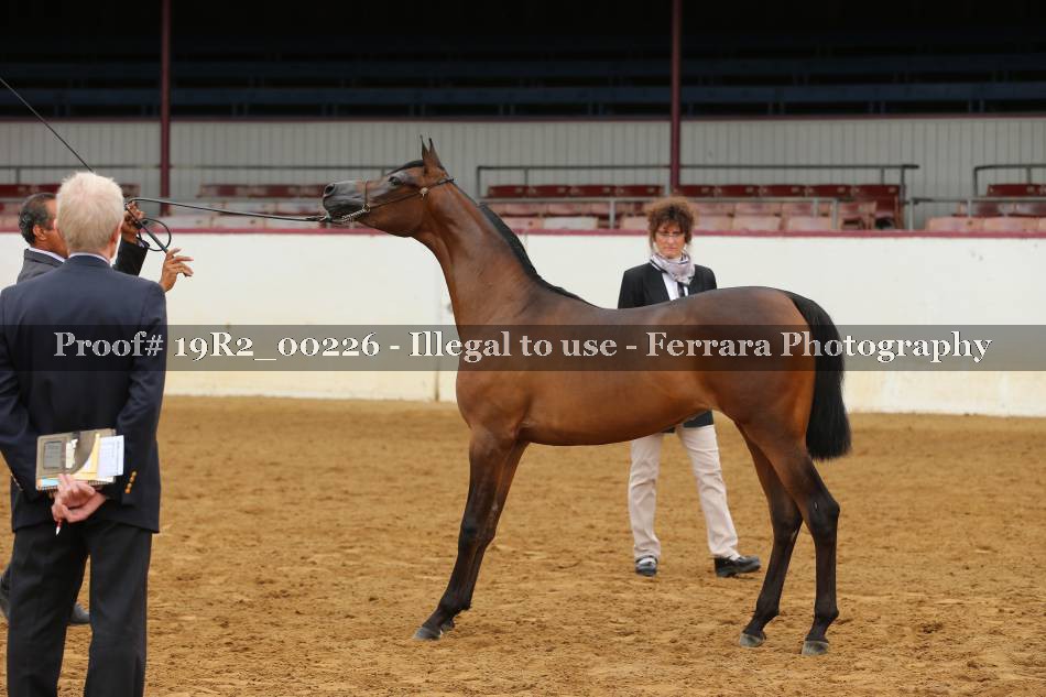 Proof 19R2_00226