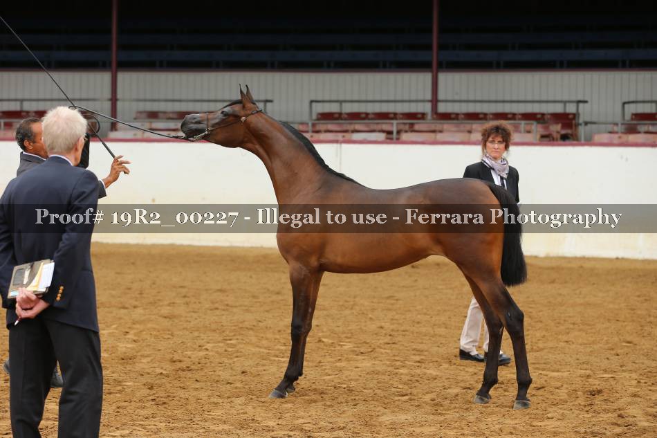 Proof 19R2_00227