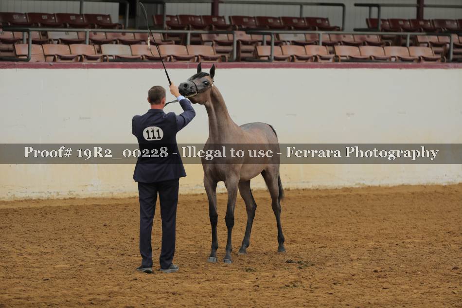Proof 19R2_00228