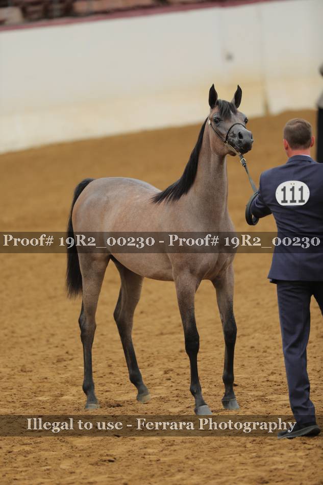 Proof 19R2_00230