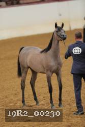 19R2_00230 proof