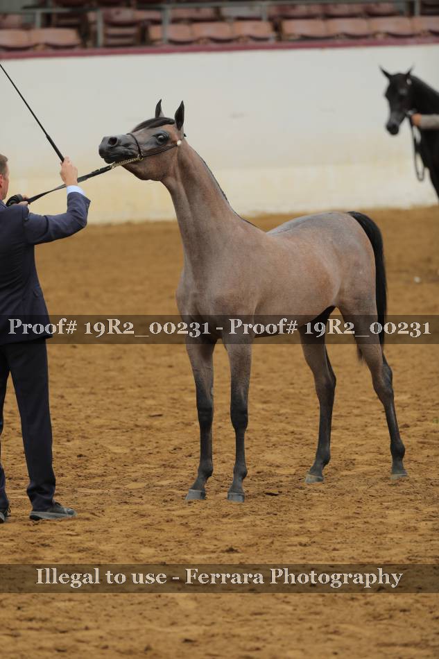 Proof 19R2_00231