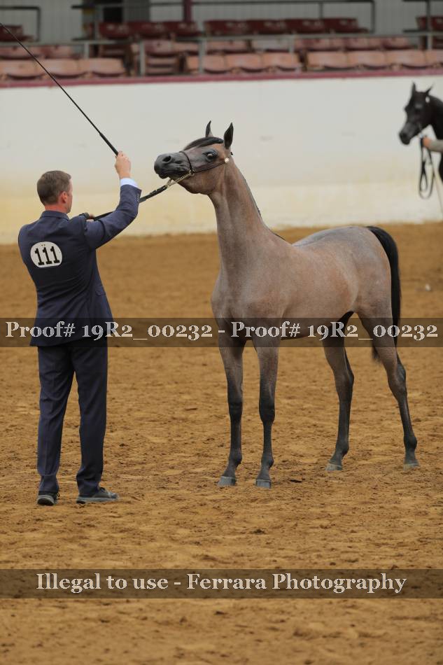 Proof 19R2_00232