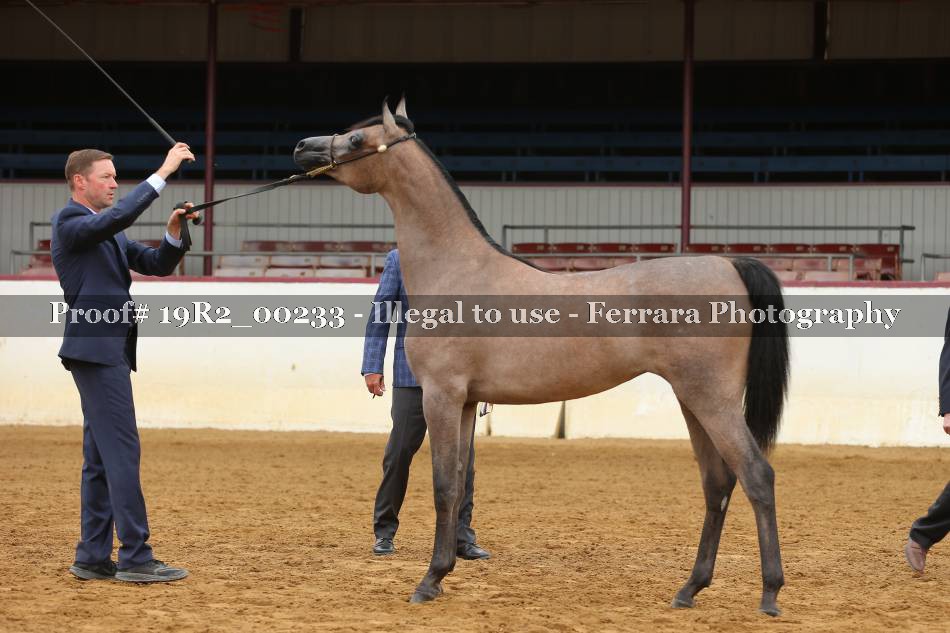 Proof 19R2_00233