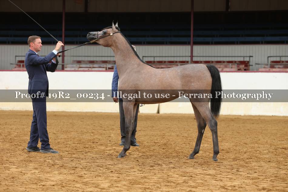 Proof 19R2_00234