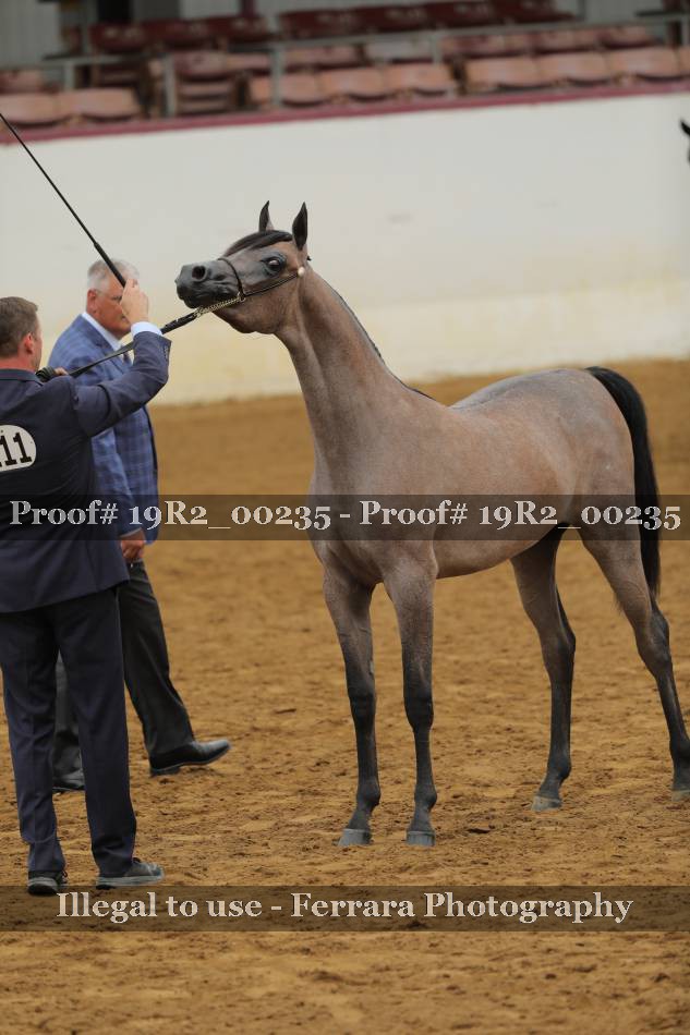 Proof 19R2_00235