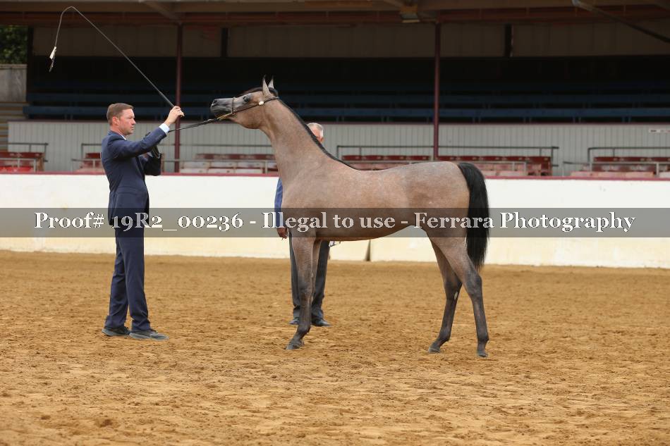 Proof 19R2_00236