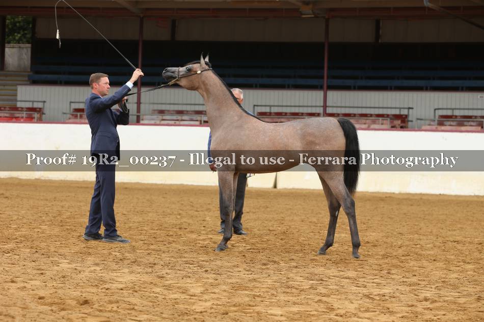 Proof 19R2_00237