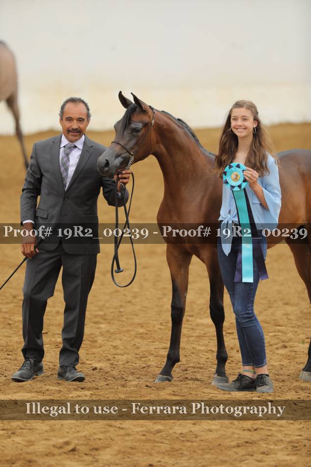 Proof 19R2_00239