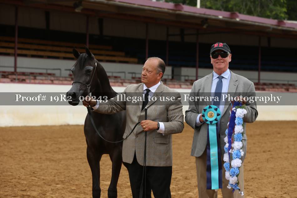 Proof 19R2_00243