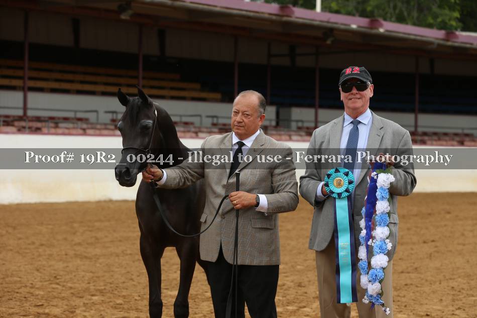 Proof 19R2_00244