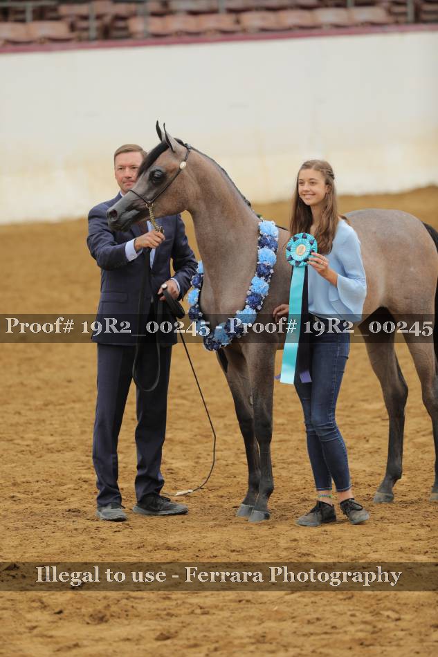 Proof 19R2_00245