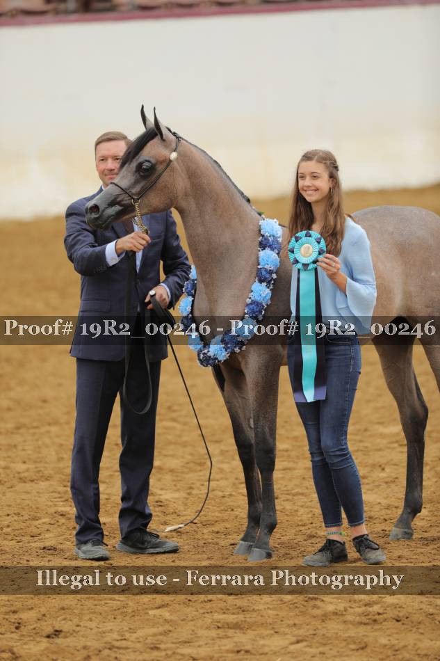 Proof 19R2_00246