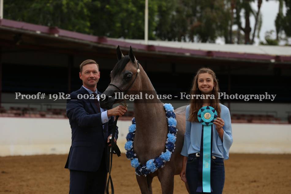 Proof 19R2_00249