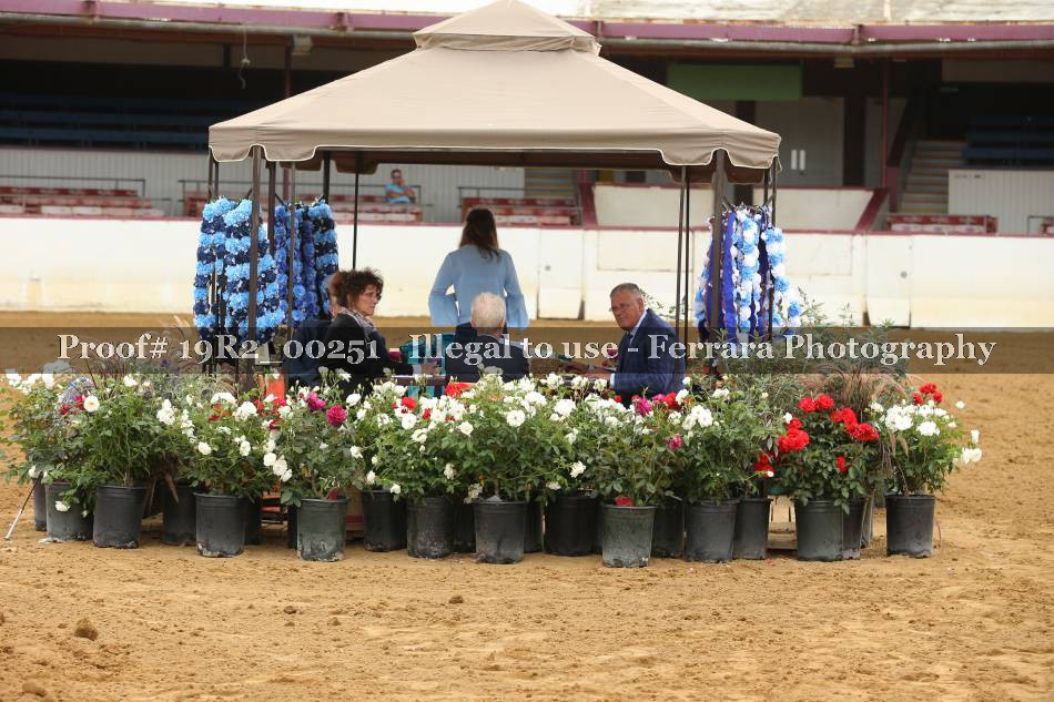 Proof 19R2_00251