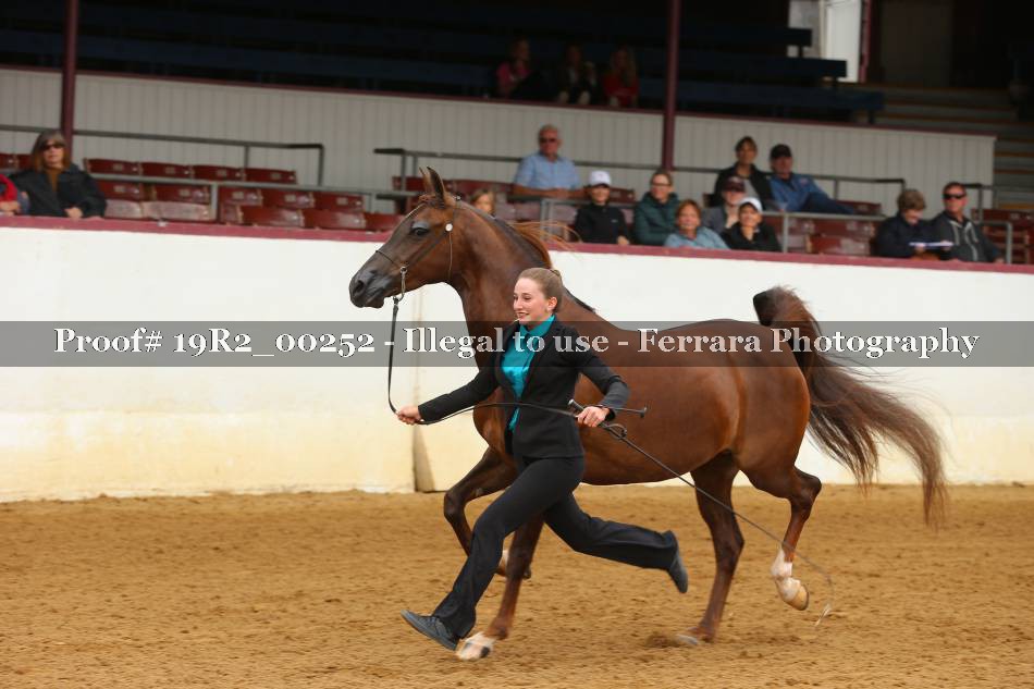 Proof 19R2_00252
