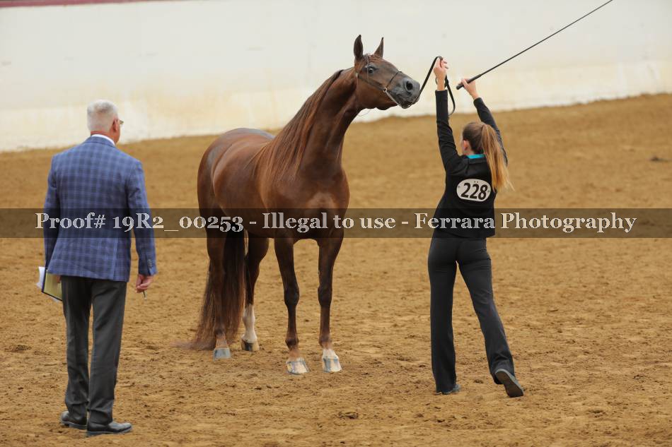 Proof 19R2_00253