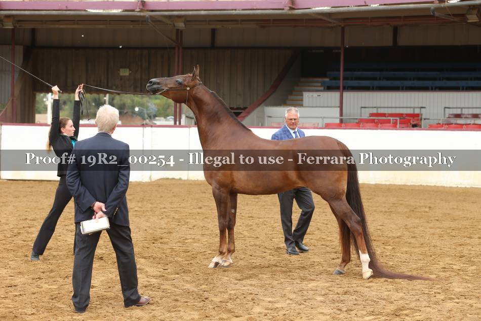 Proof 19R2_00254