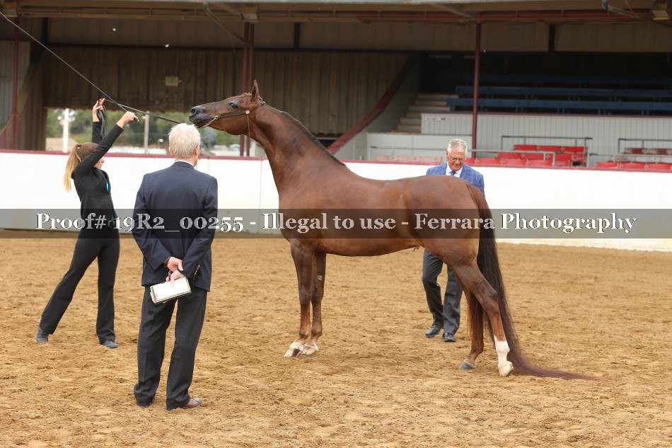 Proof 19R2_00255